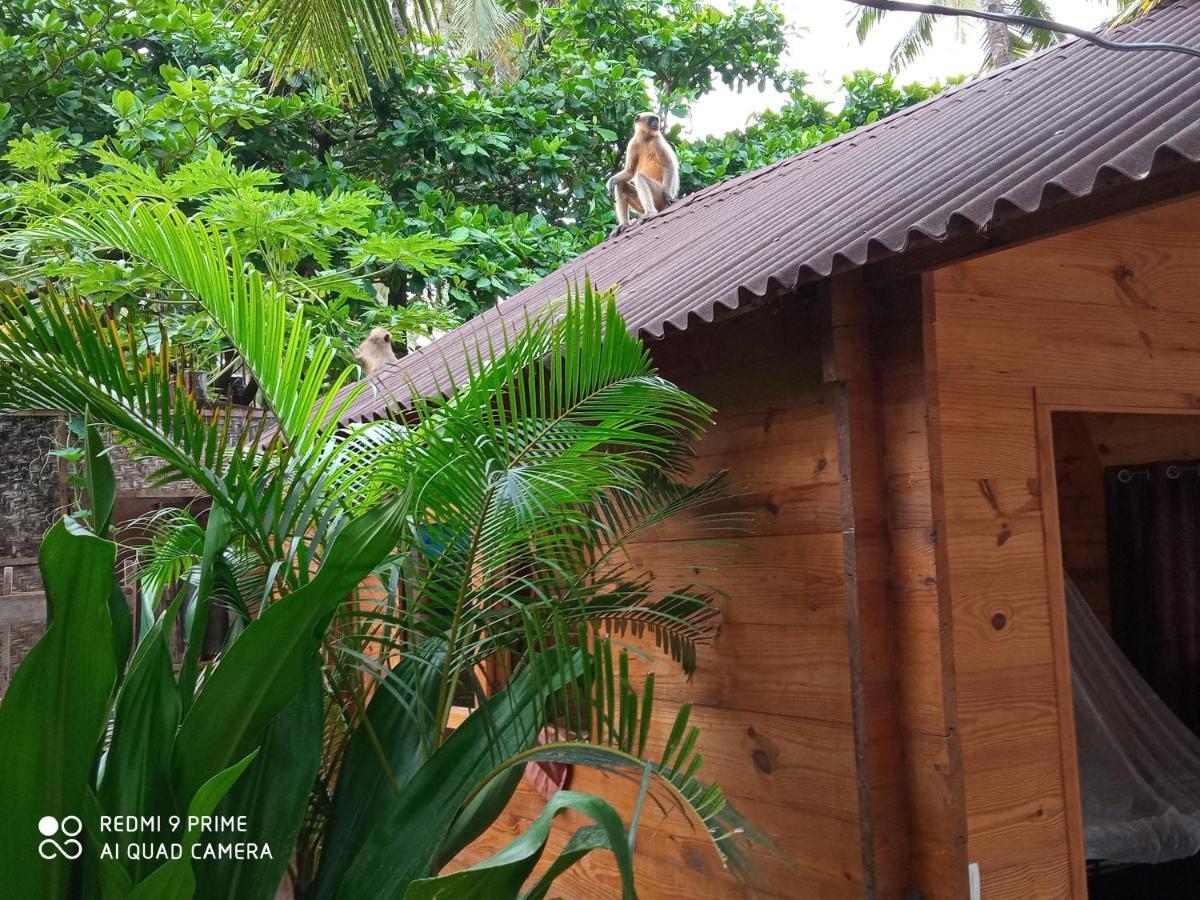 Magic World Hotel Palolem Luaran gambar