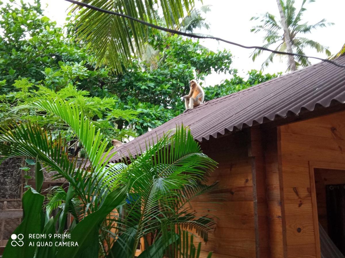 Magic World Hotel Palolem Luaran gambar